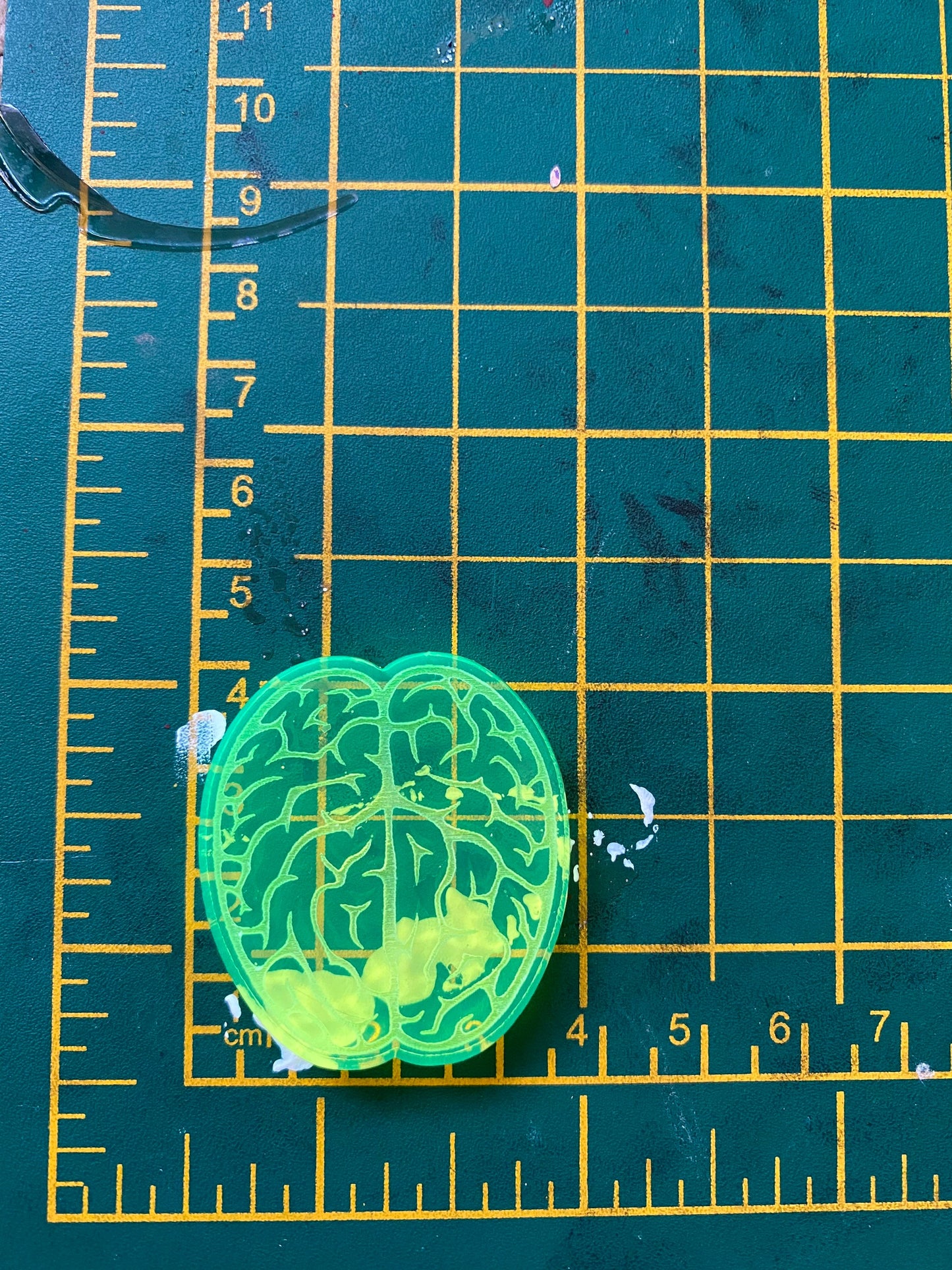 Brain Silicone Mould