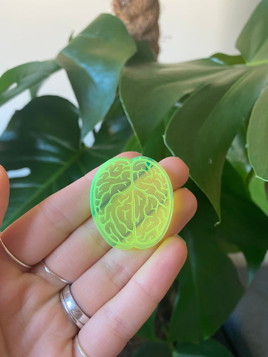 Brain Silicone Mould