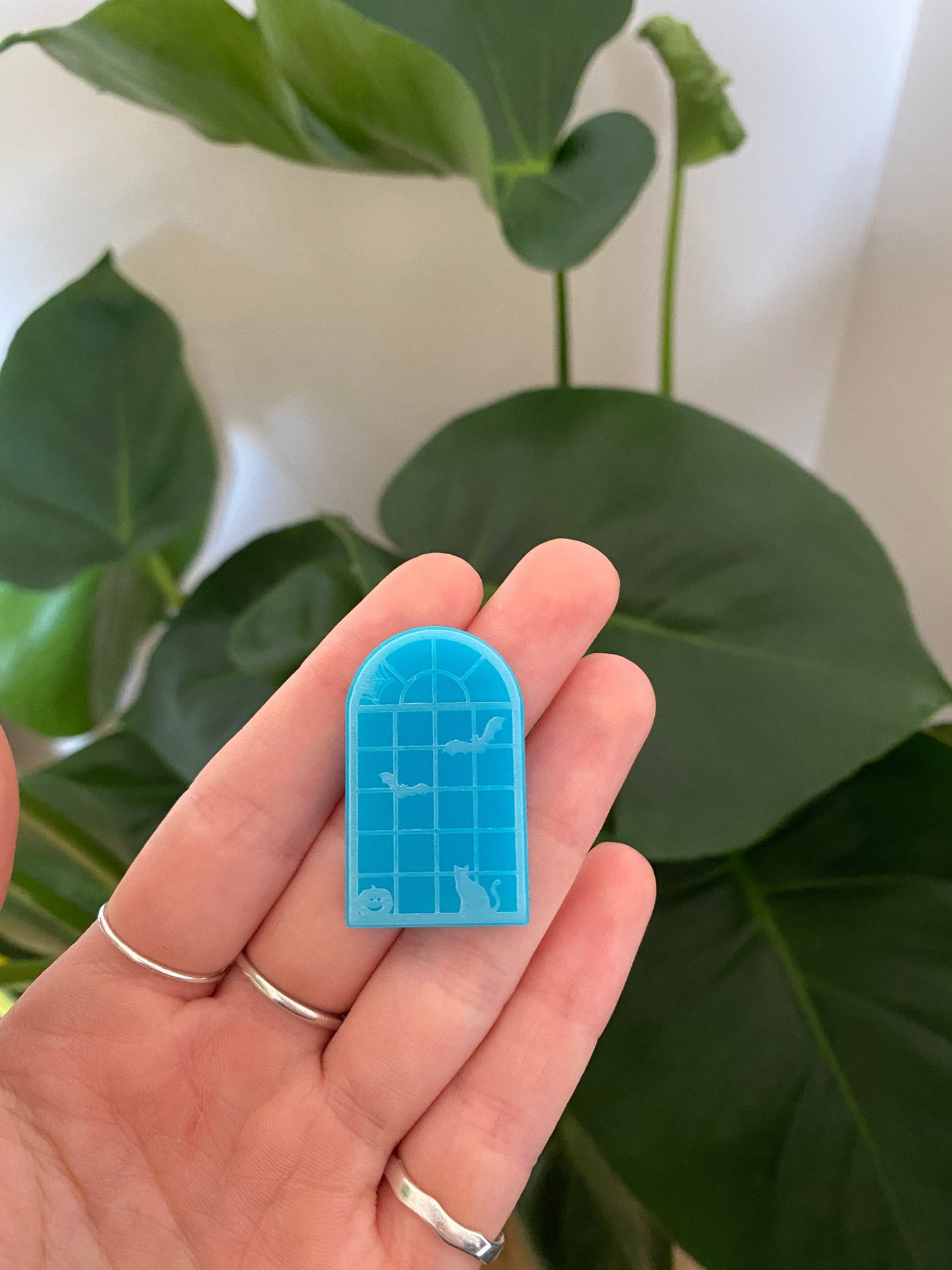 Spooky Window Silicone Mould