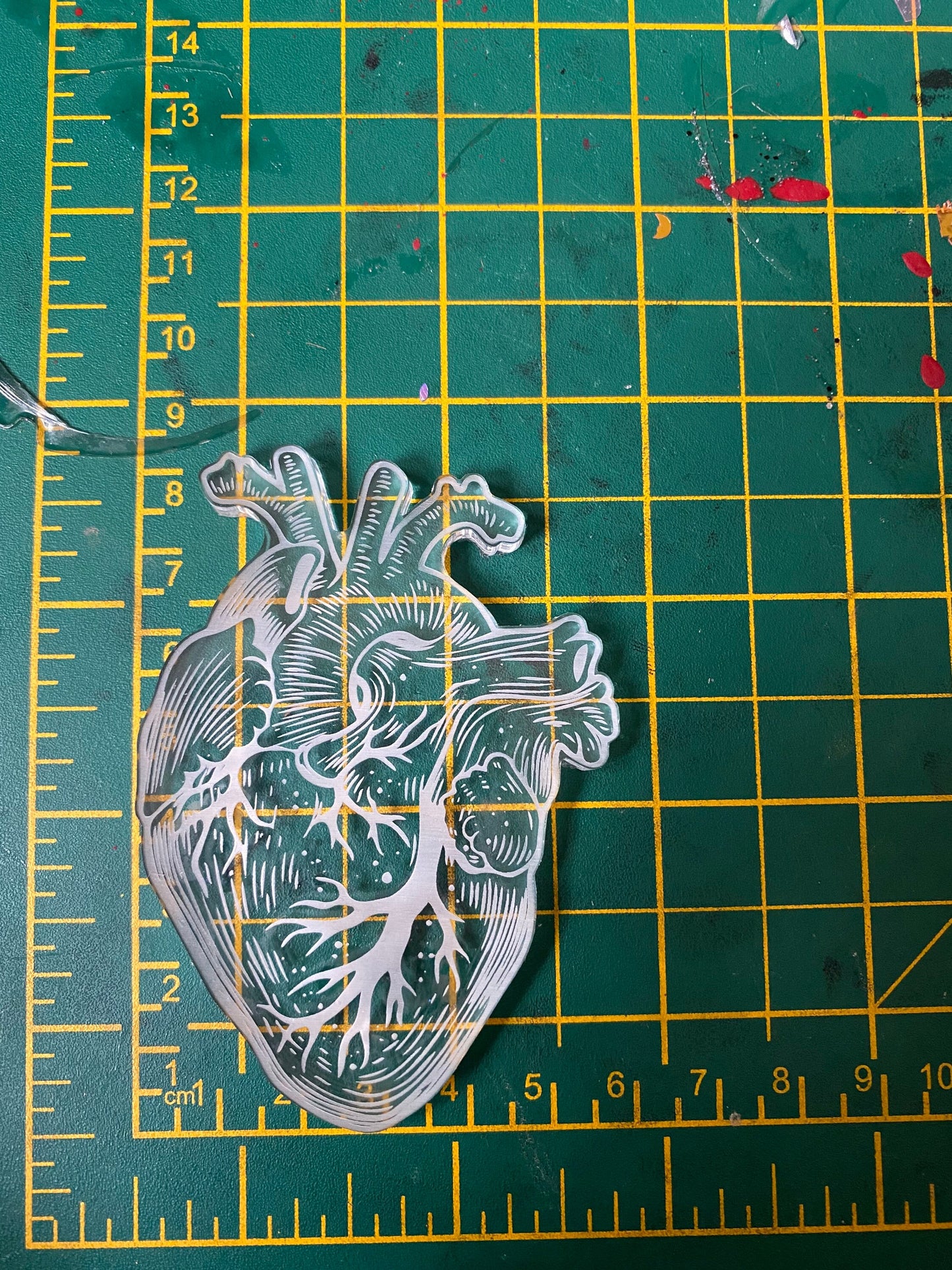 Anatomical Heart Silicone Mould