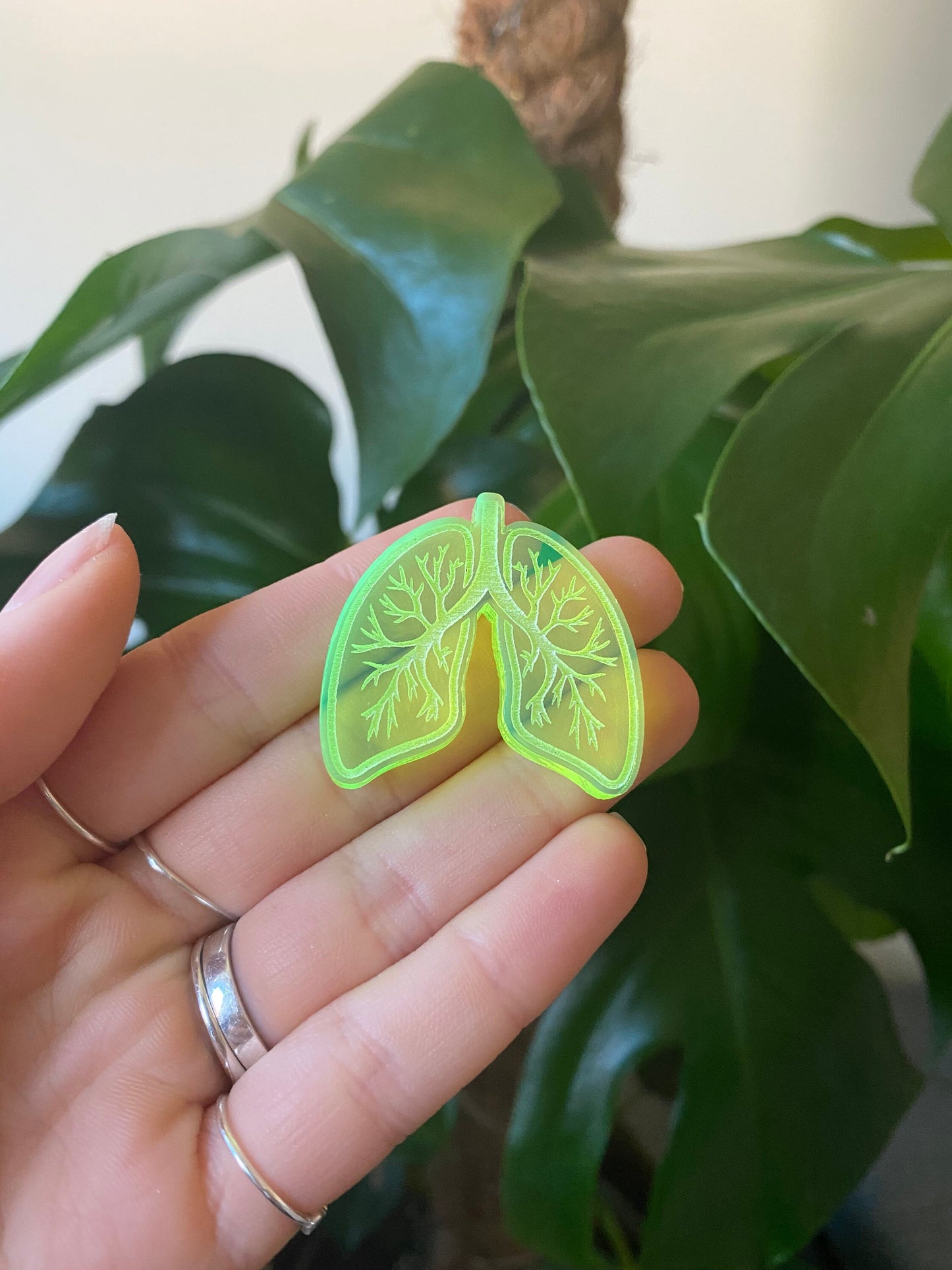 Lungs Silicone Mould