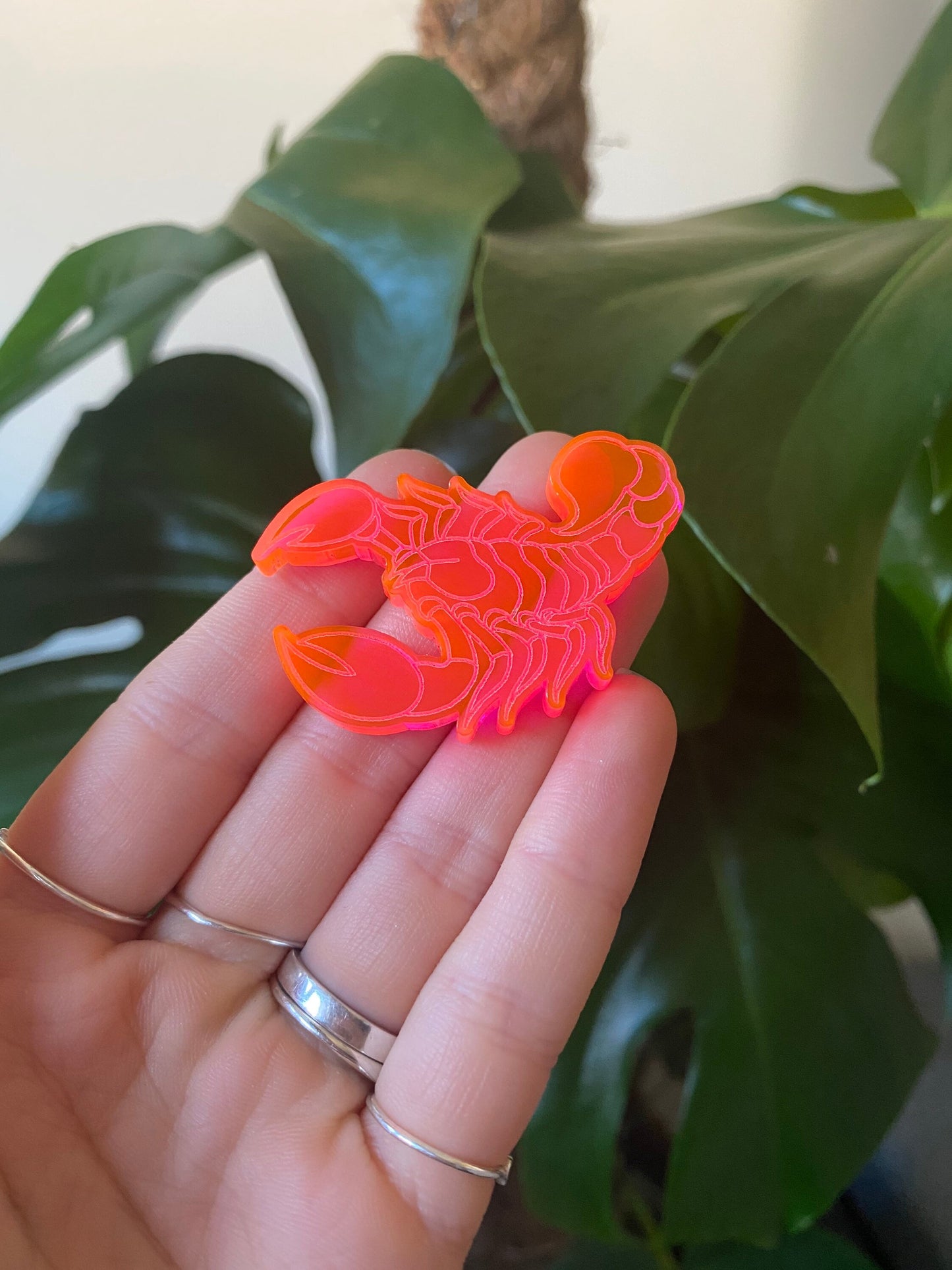 Scorpion Silicone Mould