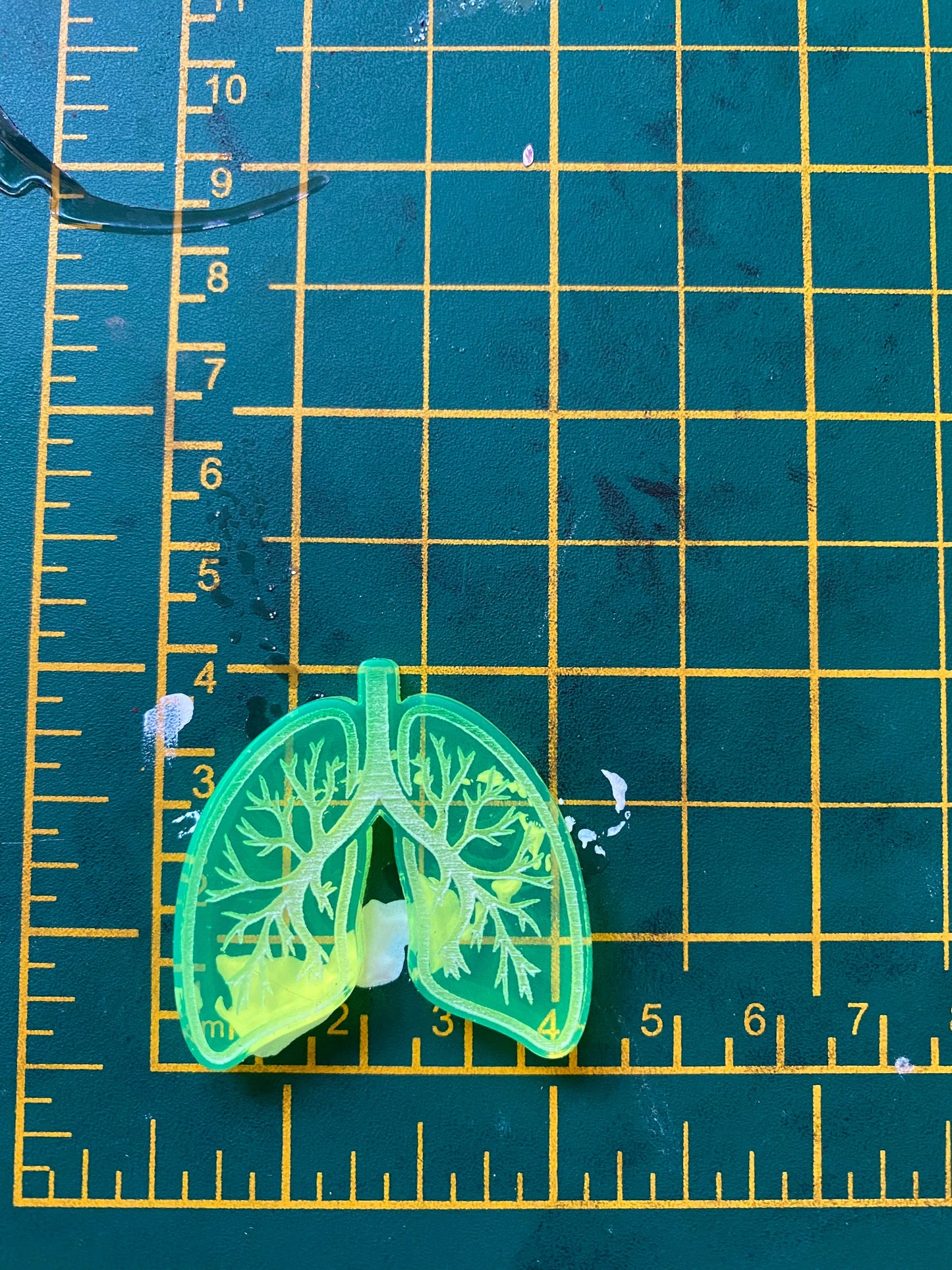Lungs Silicone Mould