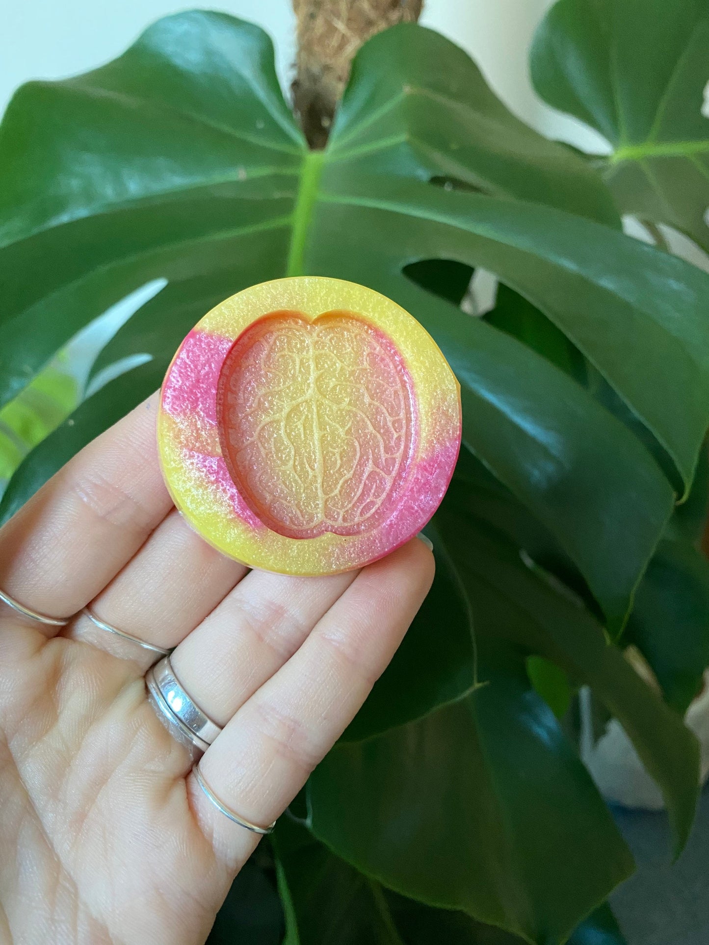 Brain Silicone Mould